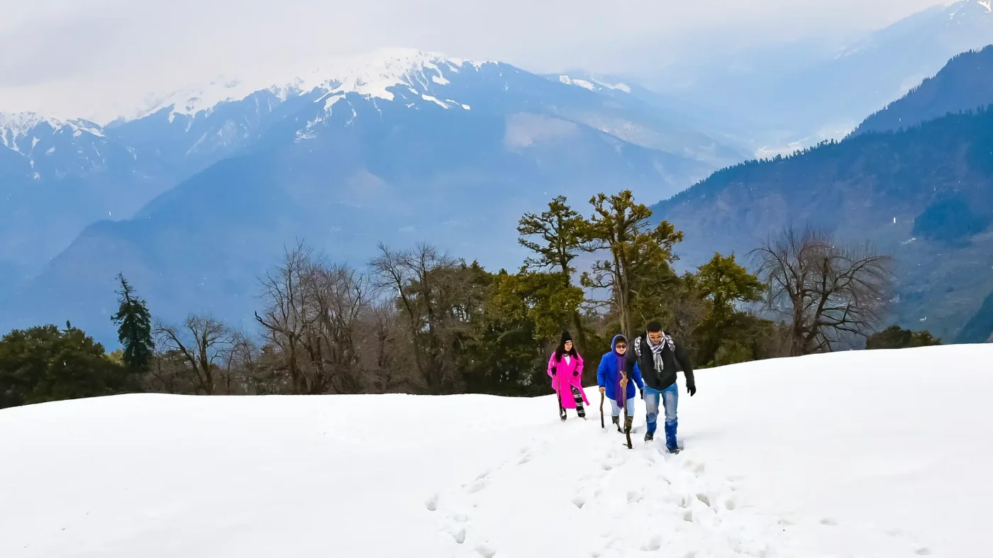 Snow Trek in Manali - Ex Delhi