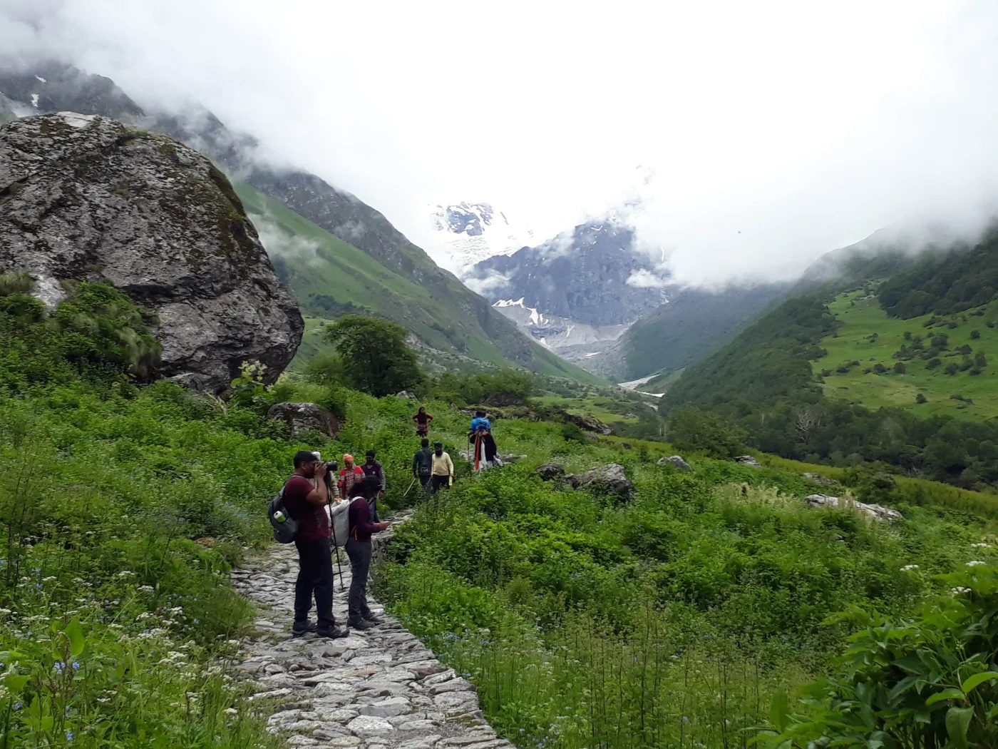 Valley of Flowers